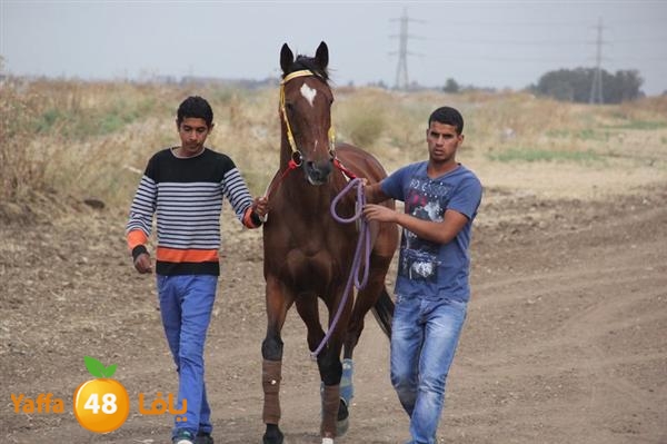 khoyoul lud 0610 (47).JPG